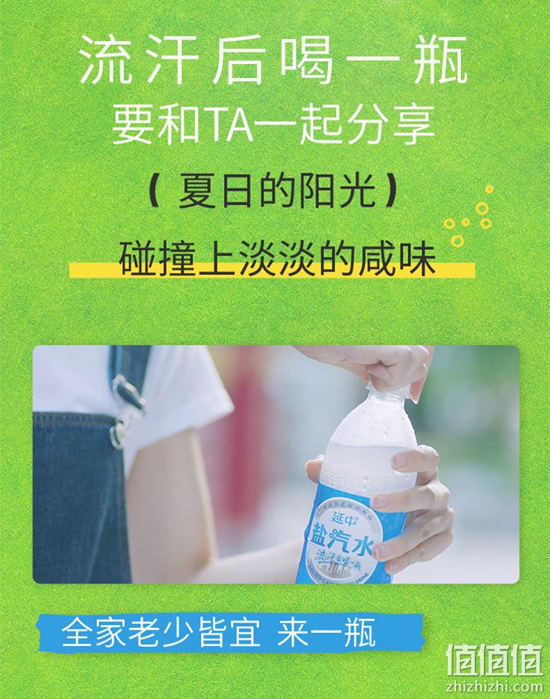 上海老牌，延中 盐汽水600mL*20瓶 整箱装 39.9元包邮（需领券） 值值值-买手聚集的地方