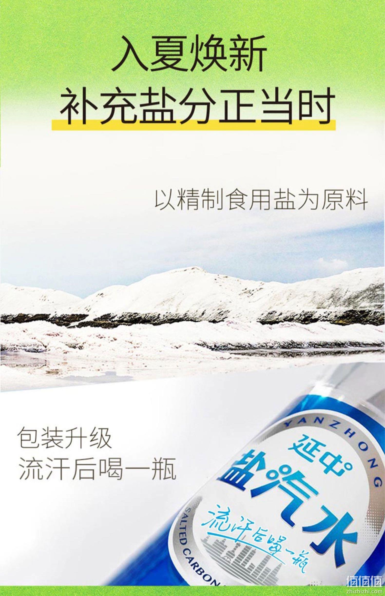上海老牌，延中 盐汽水600mL*20瓶 整箱装 39.9元包邮（需领券） 值值值-买手聚集的地方