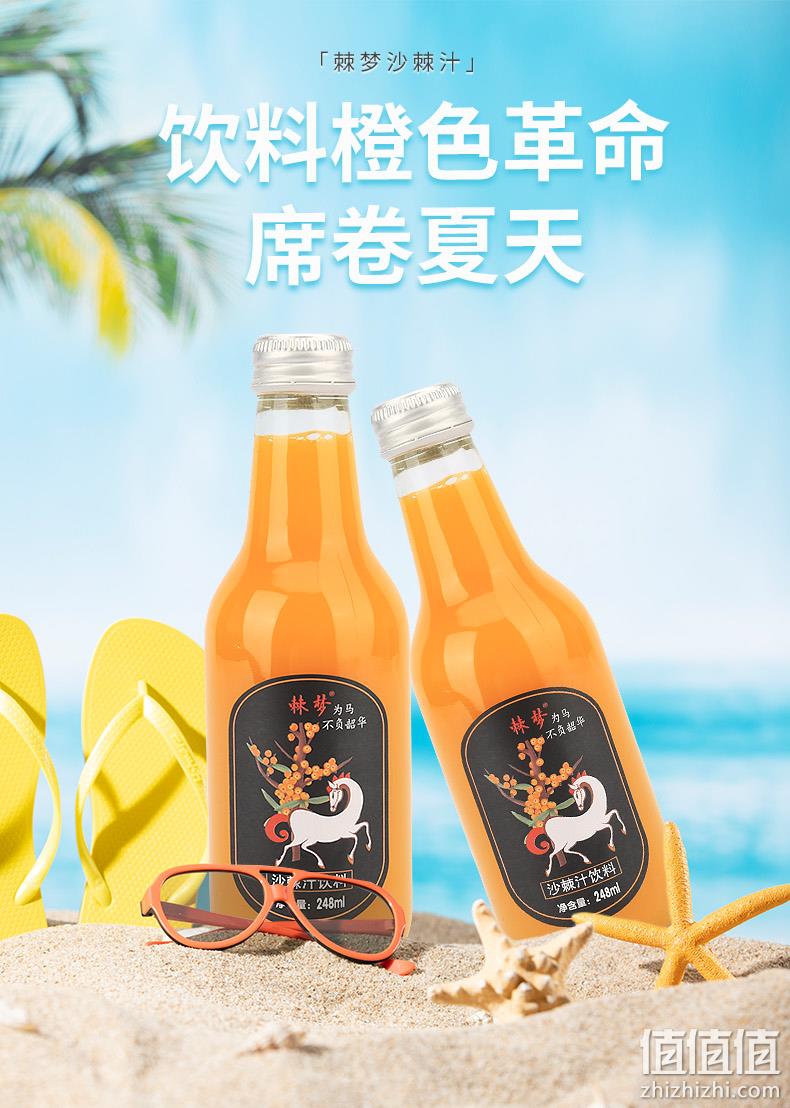 棘梦 山西特产生榨沙棘果汁 248ml*8瓶 26.9元包邮 值值值-买手聚集的地方