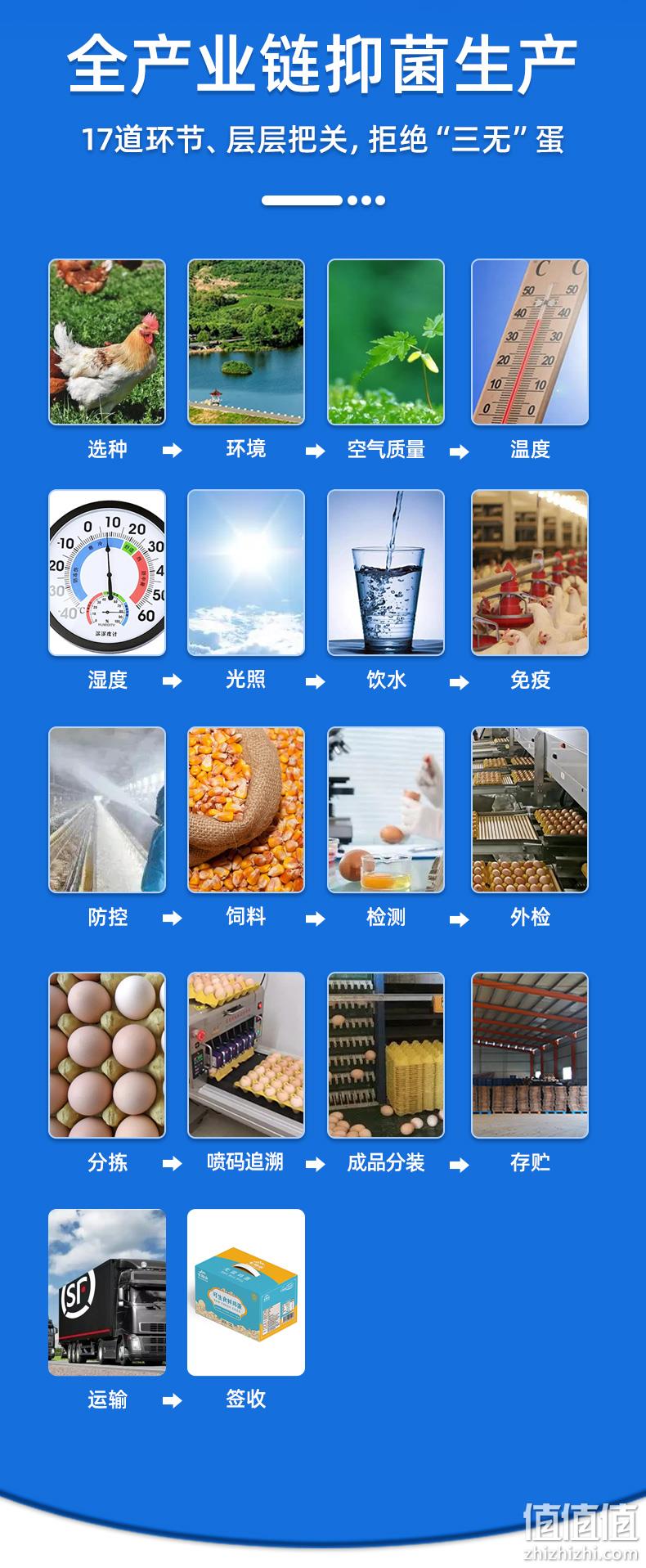 中晟农牧 七姑山 可生食无菌鸡蛋礼盒/30枚 39.9元包邮（需领券） 值值值-买手聚集的地方