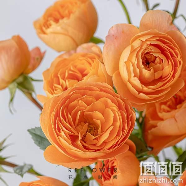 REFLOWER 花点时间 单头玫瑰随机色10枝鲜花 19.9元顺丰包邮（需领券） 值值值-买手聚集的地方