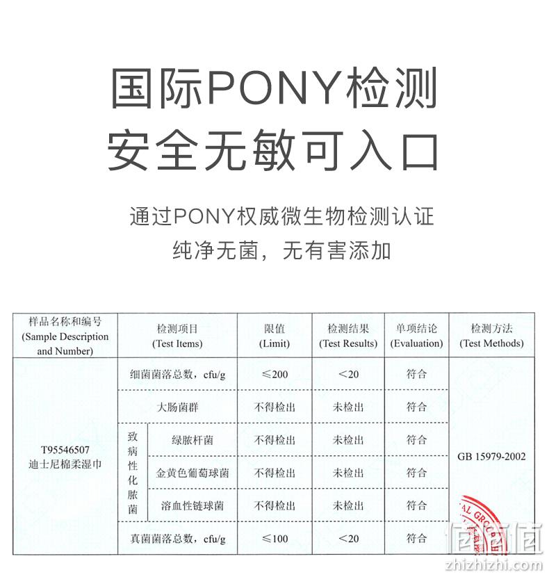 Disney 迪士尼 松松系列手口湿巾60抽*10包 19.9元包邮（需领券） 值值值-买手聚集的地方