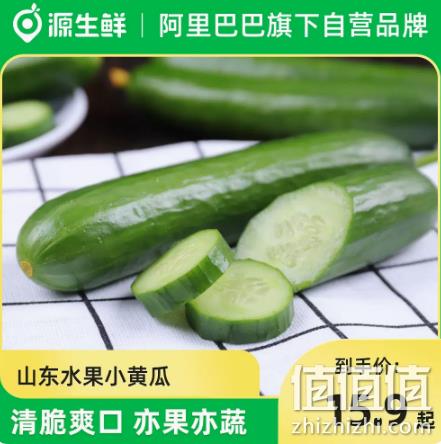 源生鲜 山东寿光水果黄瓜 19.9元包邮（需领券） 值值值-买手聚集的地方