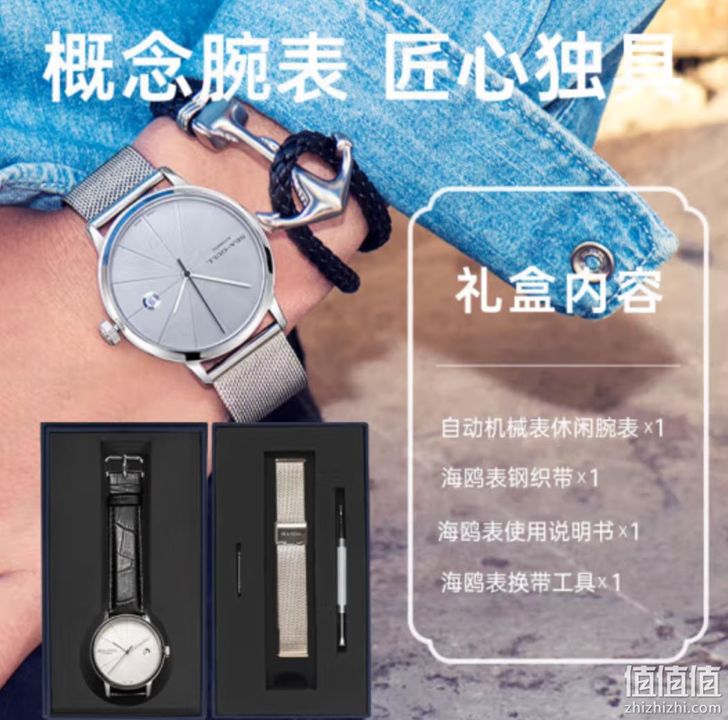 SEA-GULL 海鸥 彭罗斯系列 819.42.6015 40毫米自动上链腕表 礼盒装配表带款 1299元包邮（需领券） 值值值-买手聚集的地方