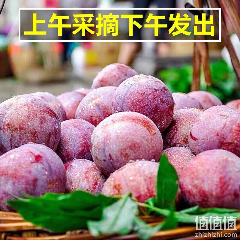 果急达 正宗四川五月脆脱骨李子 5斤 19.8元包邮（需领券） 值值值-买手聚集的地方