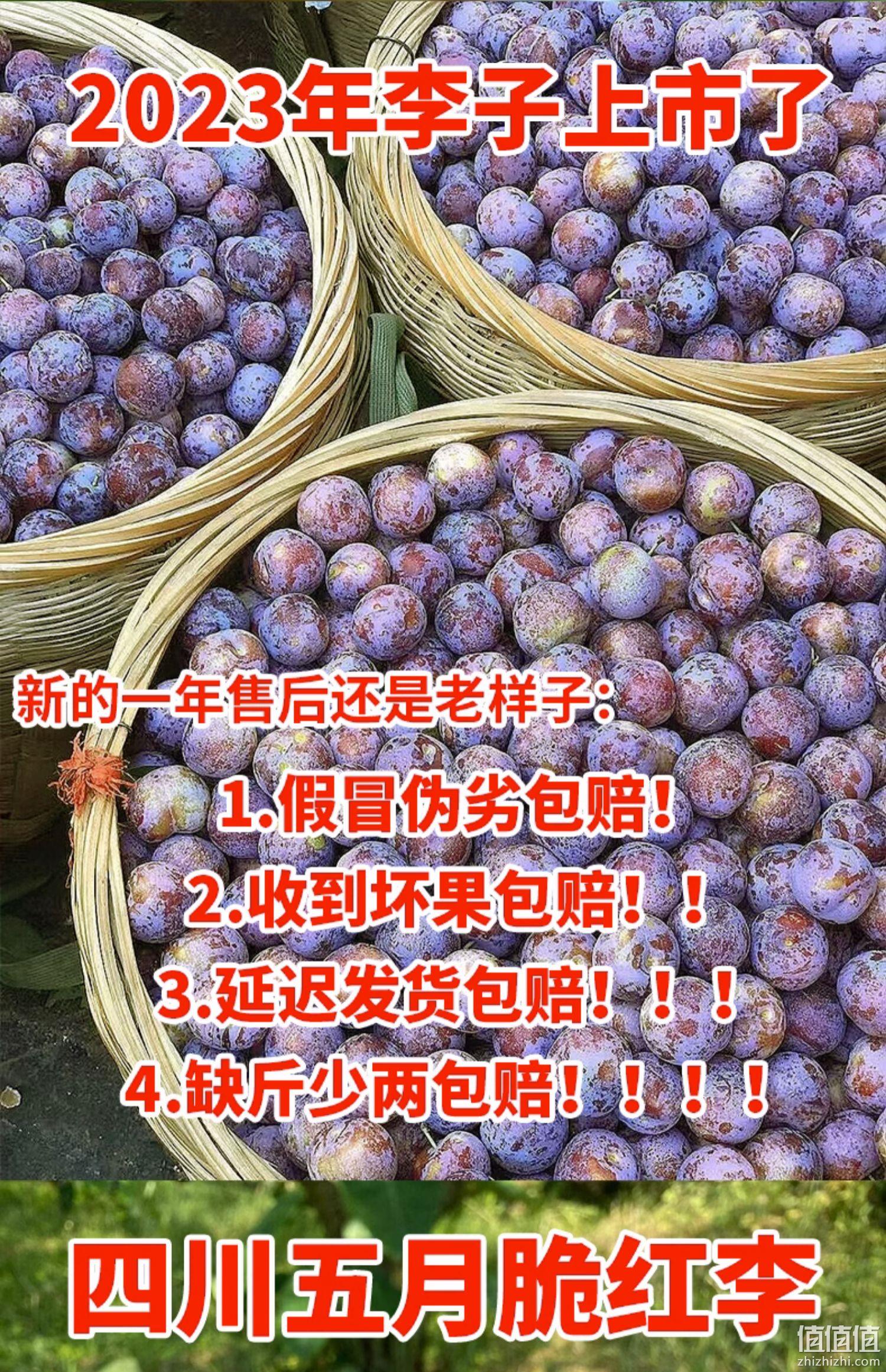 果急达 正宗四川五月脆脱骨李子 5斤 19.8元包邮（需领券） 值值值-买手聚集的地方