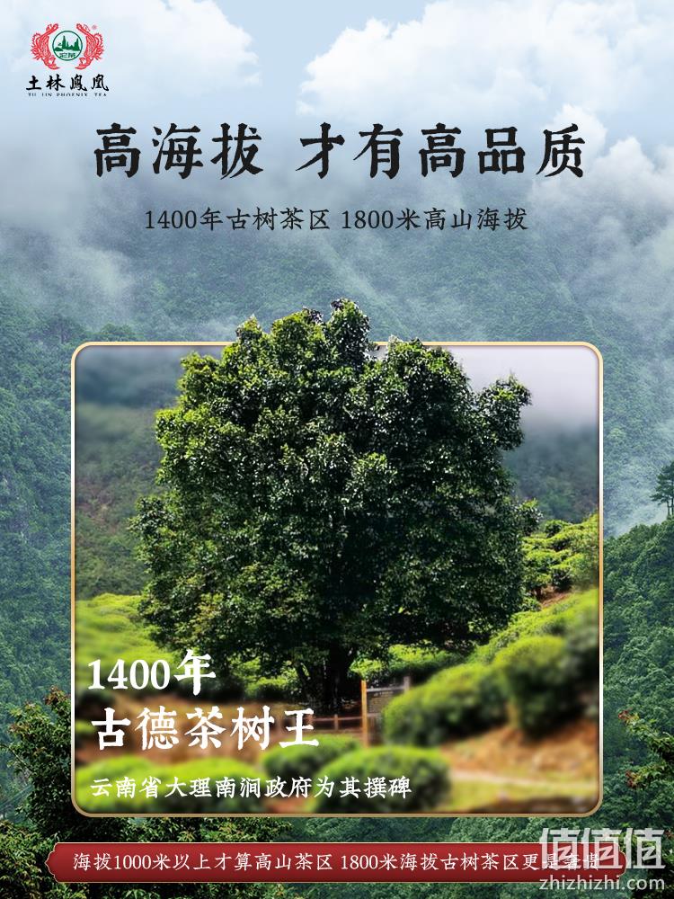 云南省重点龙头企业，土林凤凰 神农御品 8503高山普洱生茶饼礼盒装 300g 88元包邮（需领券） 值值值-买手聚集的地方