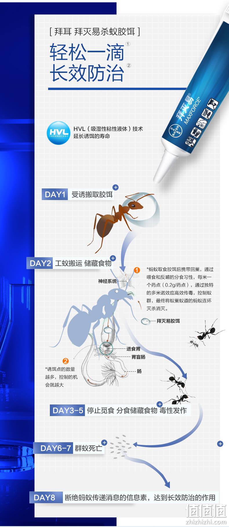 灭蚁神器，Bayer 拜耳 杀蚁胶饵 5g 19.9元包邮（需领券） 值值值-买手聚集的地方
