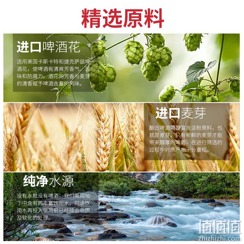 蕴酿之林 全麦白啤精酿啤酒500mL*12听 29.94元包邮（需领券） 值值值-买手聚集的地方