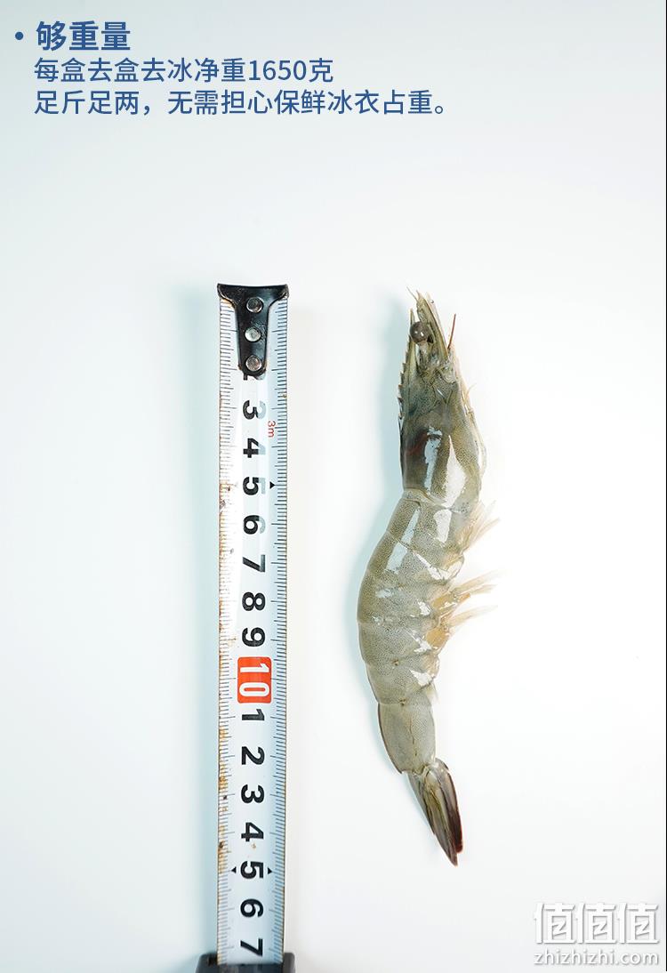 碧海农夫 超大瑟兰王南美虾鲜活速冻大虾 4斤/盒（净重1650g） 99元包邮（需领券） 值值值-买手聚集的地方