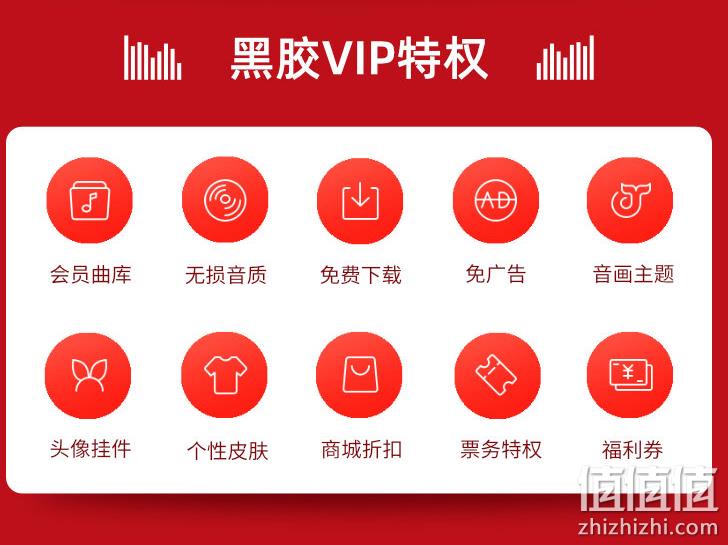 网易云音乐 黑胶vip年卡 79.9元包邮（需领券） 值值值-买手聚集的地方