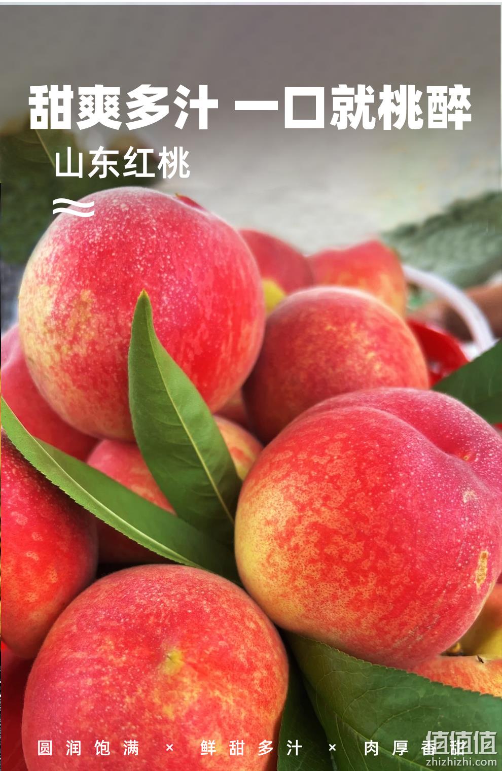阿里旗下，源生鲜 正宗山东春雪水蜜桃4.5斤 19.9元包邮（需领券） 值值值-买手聚集的地方