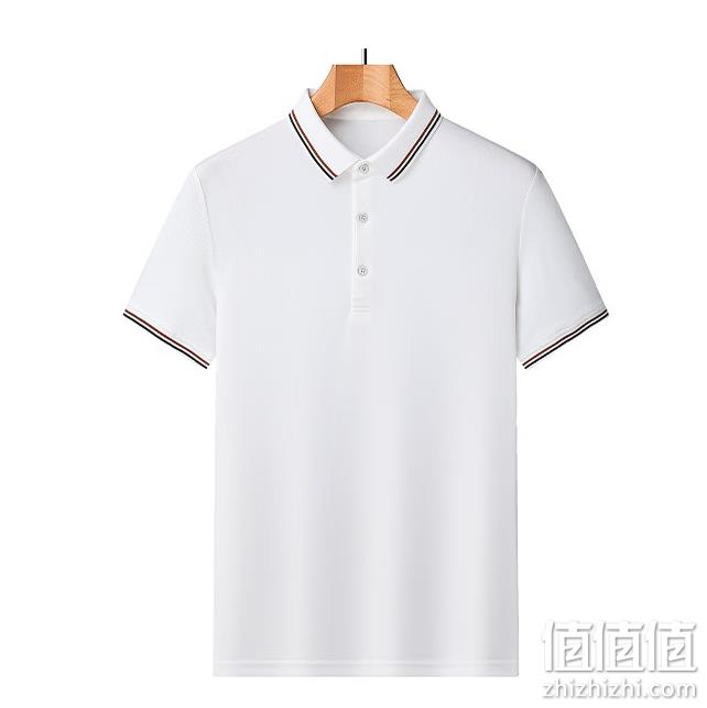 FIRS 杉杉 冰丝抗菌短袖POLO衫 多色 69元包邮（需领券） 值值值-买手聚集的地方