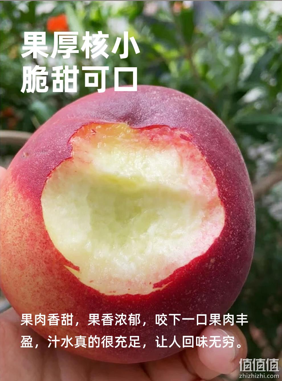 阿里旗下，源生鲜 正宗山东春雪水蜜桃4.5斤 19.9元包邮（需领券） 值值值-买手聚集的地方