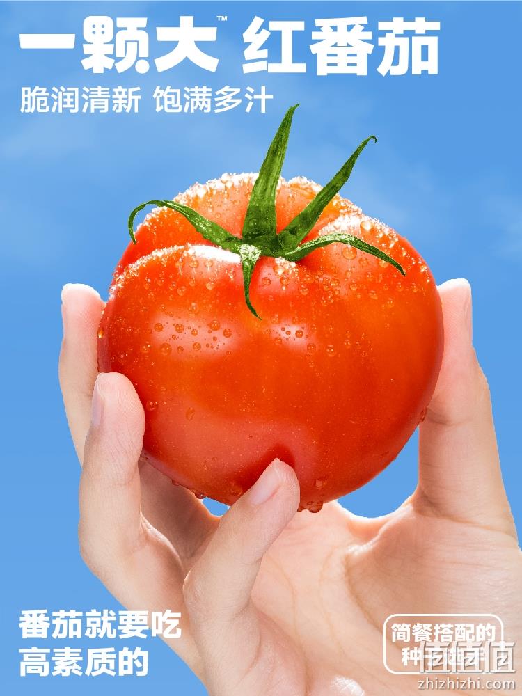 一颗大 红番茄西红柿礼盒装 550g*4盒/共16枚 24.9元顺丰包邮（需领券） 值值值-买手聚集的地方