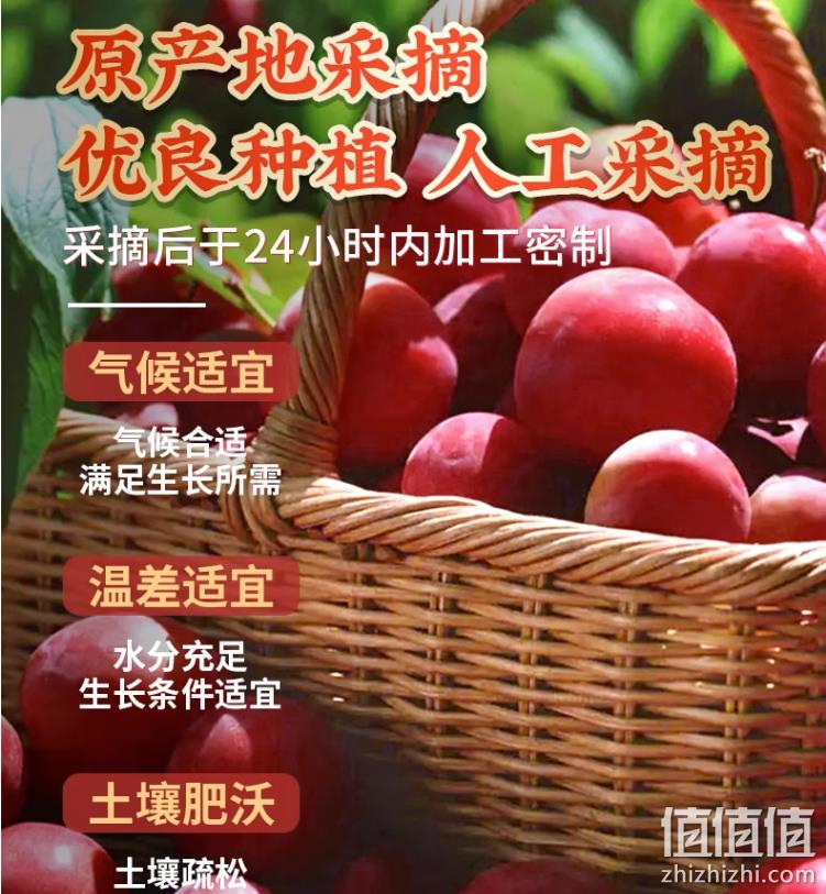 农夫山庄 蜜饯樱桃李果干 122g*3件 史低14.91元包邮（拍3件） 值值值-买手聚集的地方