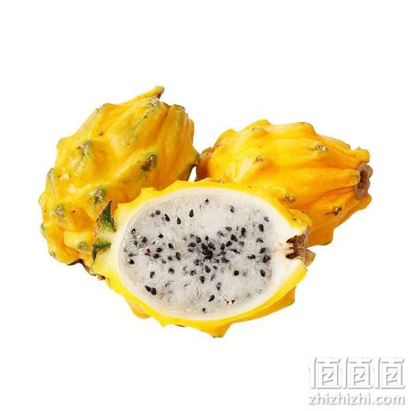 京鲜生 黄皮白肉火龙果 2粒装/单果150g以上*2件 29.8元包邮（双重优惠） 值值值-买手聚集的地方