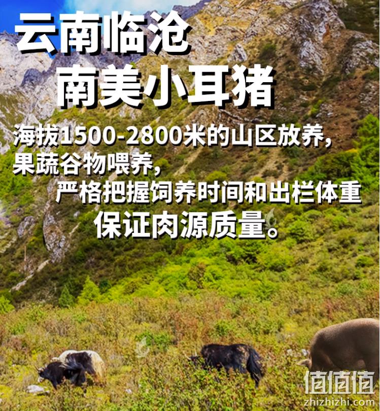 0淀粉，雄丰 山地黑猪肉爆汁烤肠 400g*5盒 2口味（随盒赠竹签） 新低99元包邮（拍5件） 值值值-买手聚集的地方