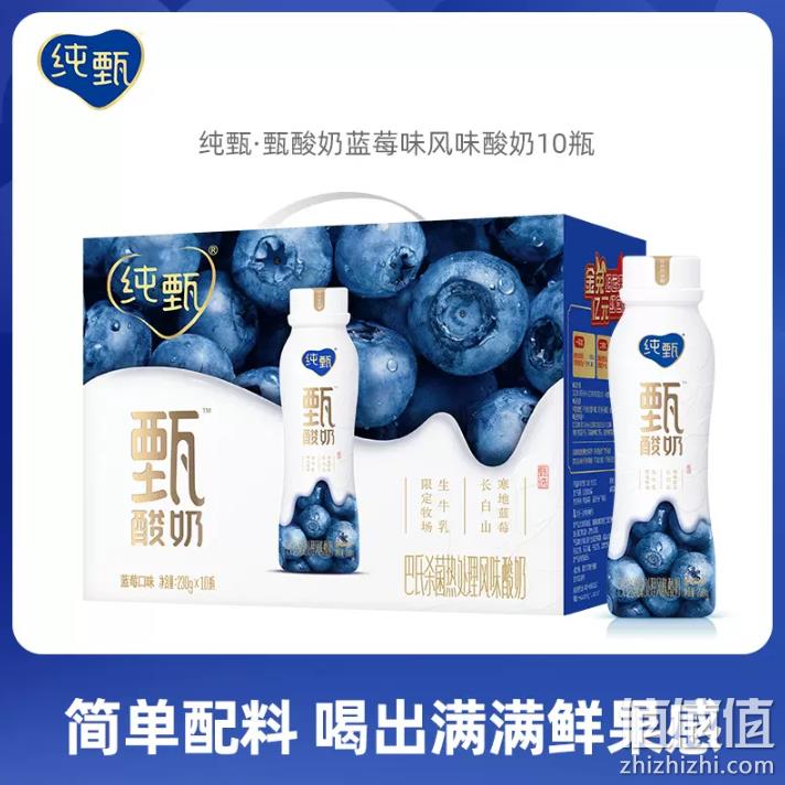 蒙牛 纯甄 甄酸奶蓝莓风味酸奶 230g*10瓶 新低39.9元包邮（需领券） 值值值-买手聚集的地方