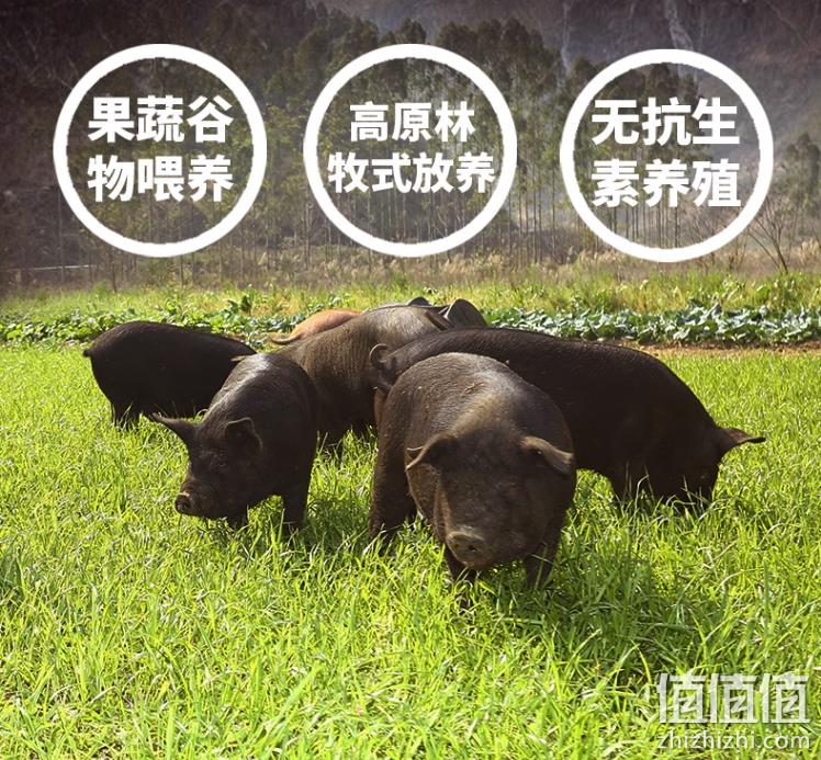 0淀粉，雄丰 山地黑猪肉爆汁烤肠 400g*5盒 2口味（随盒赠竹签） 新低99元包邮（拍5件） 值值值-买手聚集的地方
