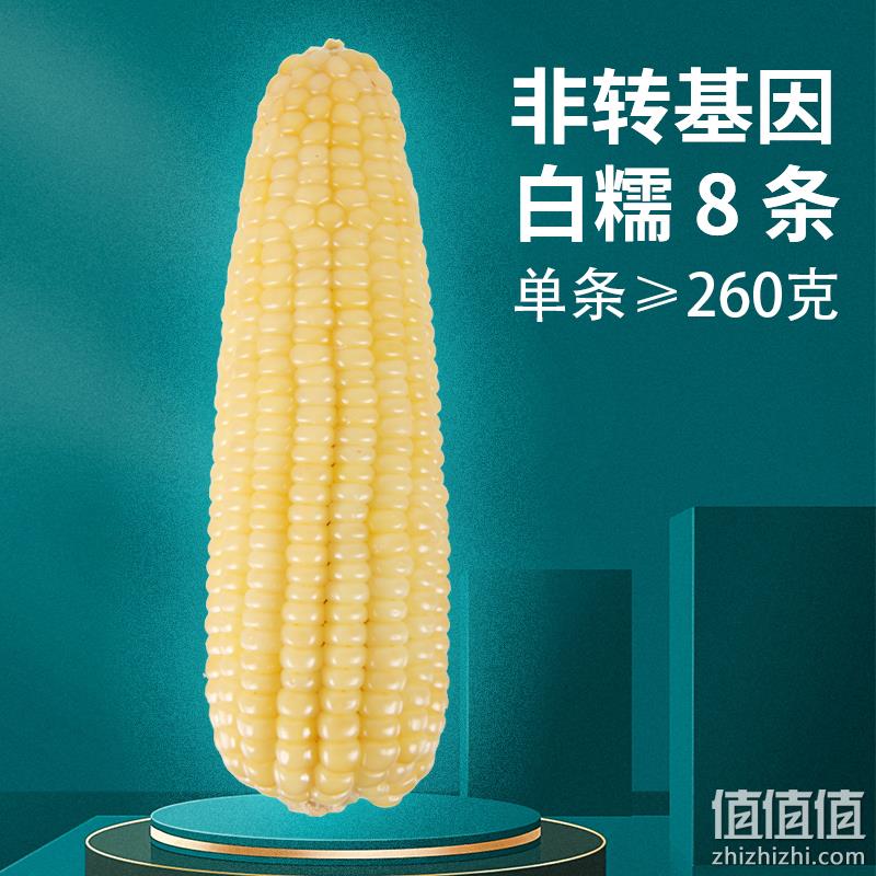 农交会金奖，禾久 非转基因鲜食白糯玉米 260g*8根 29.99元包邮（需领券） 值值值-买手聚集的地方
