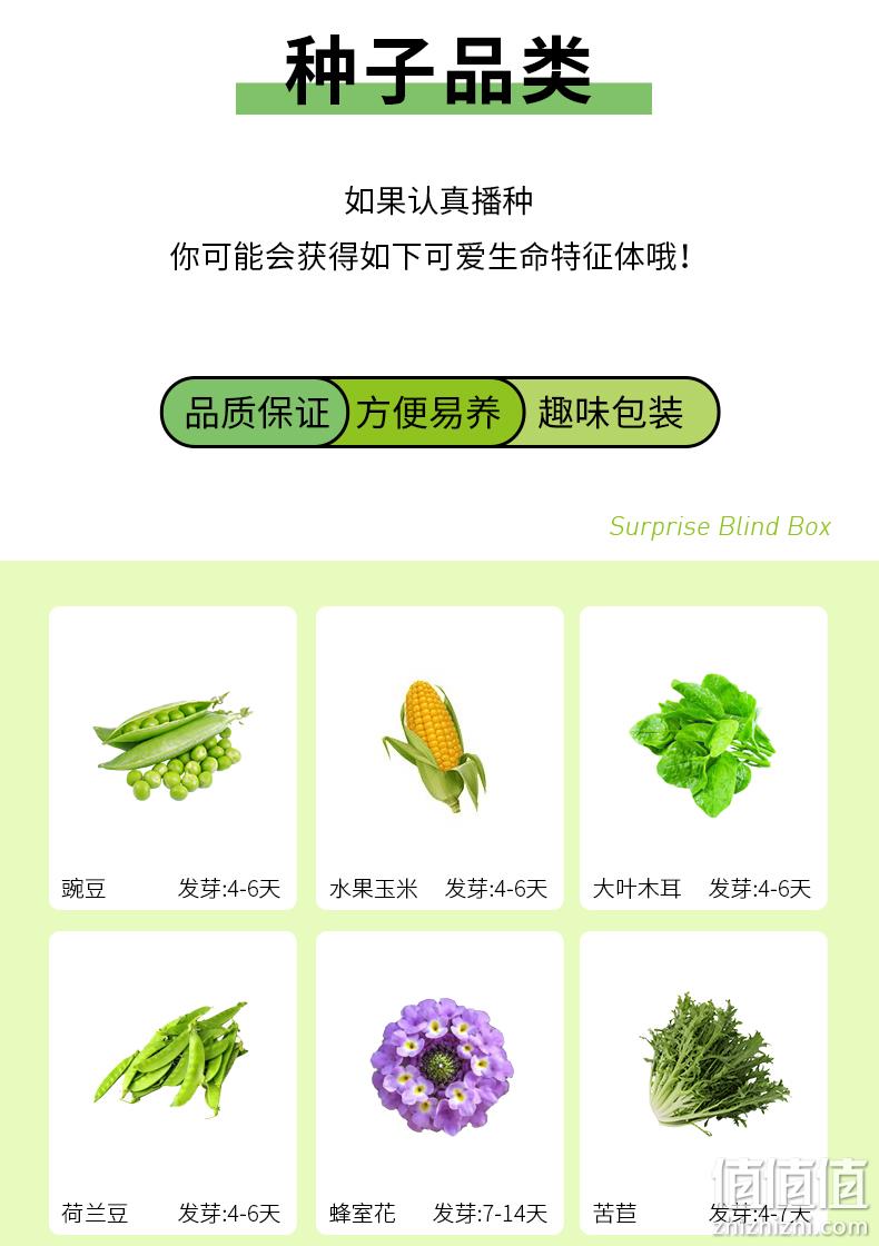 作物奇遇记 儿童种植盆栽植物盲盒 9.9元包邮（需领券） 值值值-买手聚集的地方