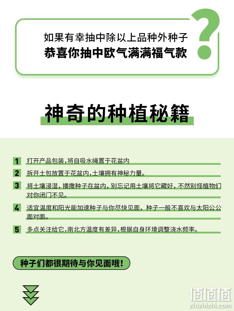作物奇遇记 儿童种植盆栽植物盲盒 9.9元包邮（需领券） 值值值-买手聚集的地方