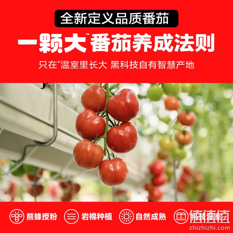 一颗大 红心番茄西红柿礼盒装 520g*4盒 19.9元包邮（需领券） 值值值-买手聚集的地方