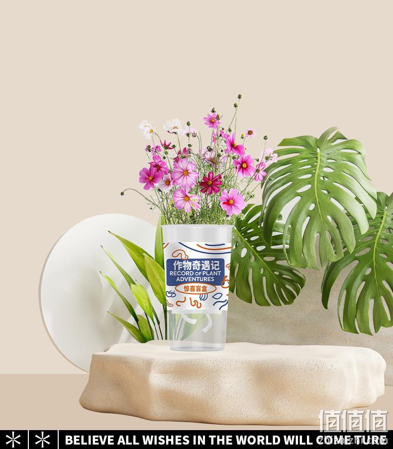 作物奇遇记 儿童种植盆栽植物盲盒 9.9元包邮（需领券） 值值值-买手聚集的地方
