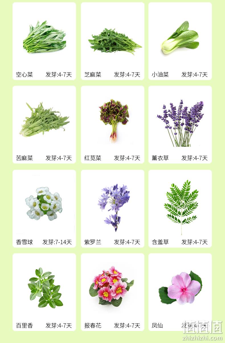 作物奇遇记 儿童种植盆栽植物盲盒 9.9元包邮（需领券） 值值值-买手聚集的地方