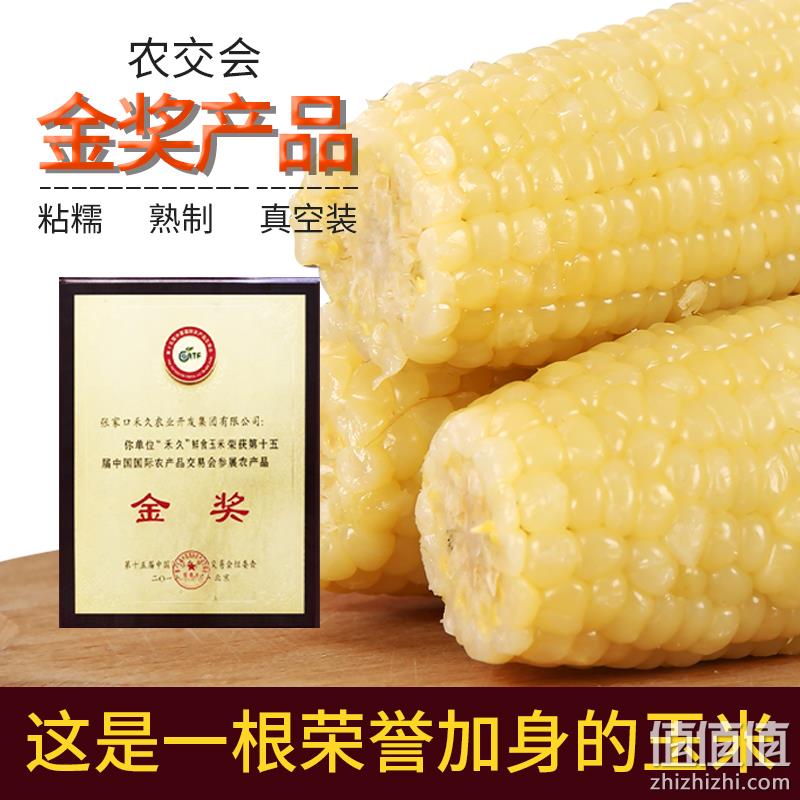 农交会金奖，禾久 非转基因鲜食白糯玉米 260g*8根 29.99元包邮（需领券） 值值值-买手聚集的地方