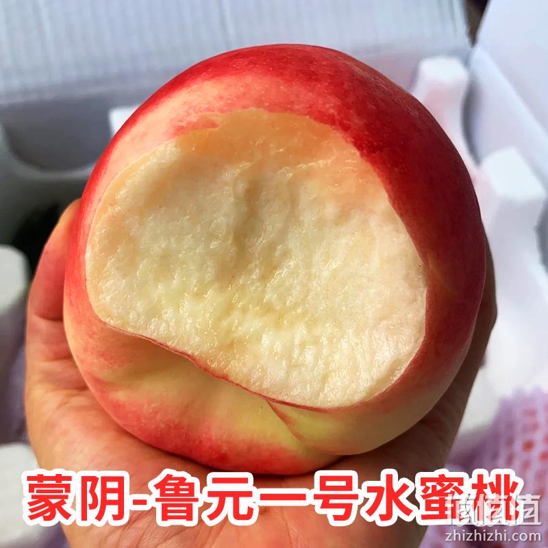 果香蔻 蒙阴鲁元1号水蜜桃 5斤 23.9元包邮（需领券） 值值值-买手聚集的地方