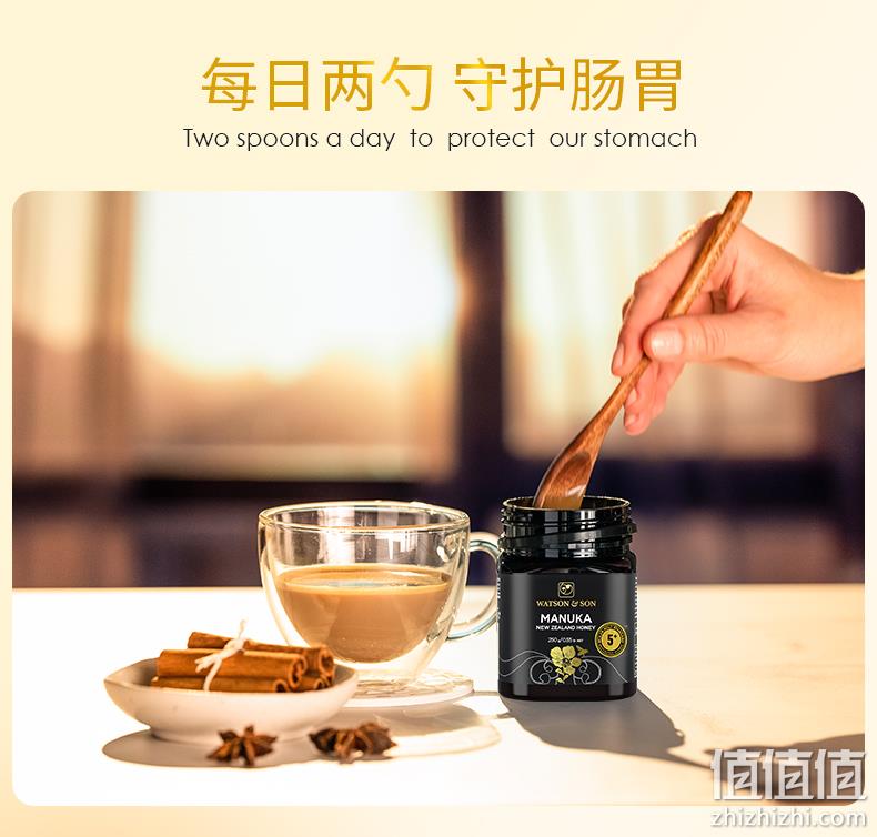 新西兰进口，Watson&Son 沃森 天然麦卢卡蜂蜜GS5+ 250g 80元包邮（需领券） 值值值-买手聚集的地方
