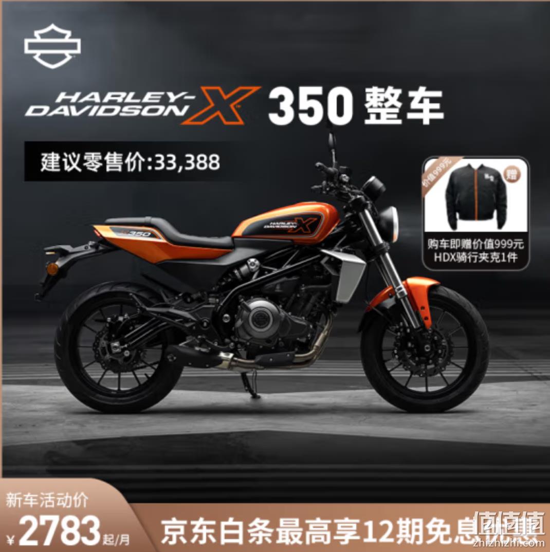 Harley-Davidson 哈雷戴维森   X™350 双缸水冷353cc排量机车 32386元（需领券） 值值值-买手聚集的地方