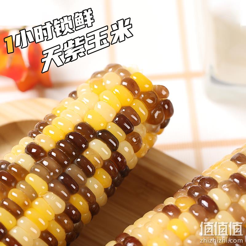1小时锁鲜，灶小美 内蒙古巴彦淖尔彩糯玉米礼盒6棒1200g 19.9元包邮（需领券） 值值值-买手聚集的地方