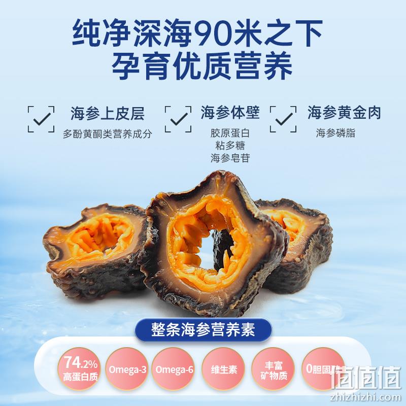 欧参力得 加拿大进口 OPF野生淡干北极海参18g（2-3只试吃装） 24.9元包邮（需领券） 值值值-买手聚集的地方