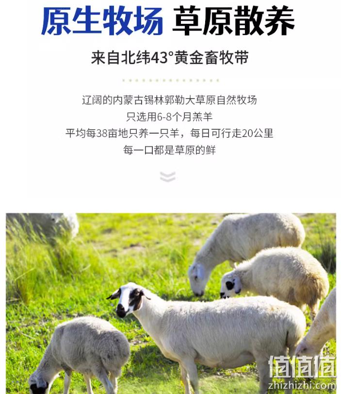 国家地理标志产品，沁牧青格尔 内蒙锡盟新鲜羊肉串 80串/800g 史低119元顺丰包邮（需领券） 值值值-买手聚集的地方