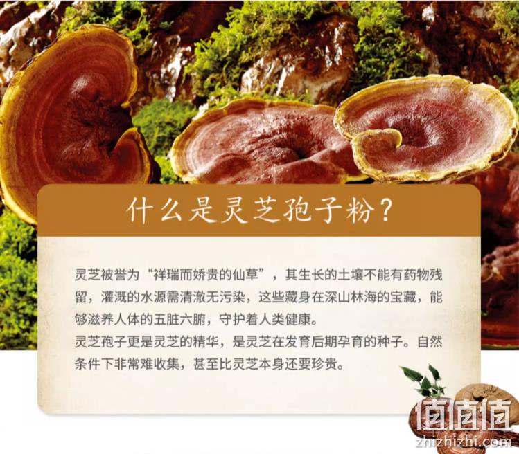 增强免疫力，以岭 破壁灵芝孢子粉胶囊 0.3g*60粒 新低29元包邮（需领券） 值值值-买手聚集的地方