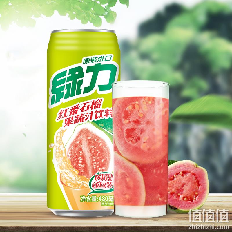 台湾产，绿力 红番石榴果蔬汁饮料 480ml*6听 28.92元包邮（返5元卡后，4.82元/听） 值值值-买手聚集的地方