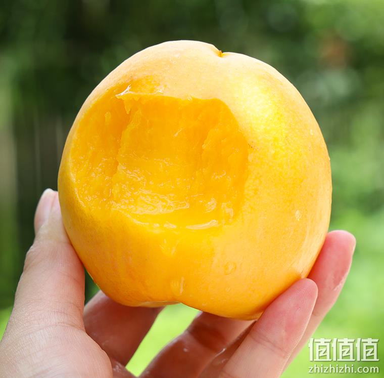 盒马旗下，源生鲜 山东蒙阴黄金油桃（单果150g+）4.5斤 新低28.8元包邮（需领券） 值值值-买手聚集的地方