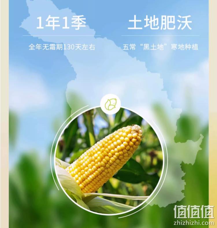 微波加热即食，析芮 东北正宗鲜糯去皮玉米浆包饼 10盒 19.8元包邮（需领券） 值值值-买手聚集的地方