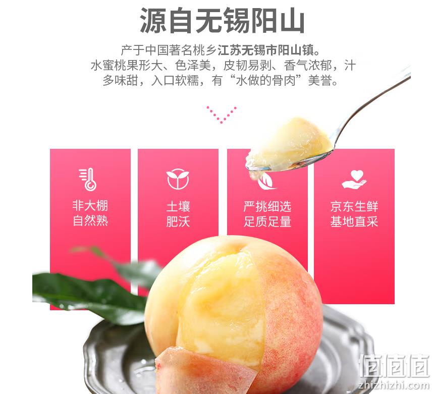 京鲜生 正宗无锡阳山水蜜桃 9粒礼盒装/单果4-5两*2件（赠品可更改） 99元包邮（折49.5元/箱） 值值值-买手聚集的地方
