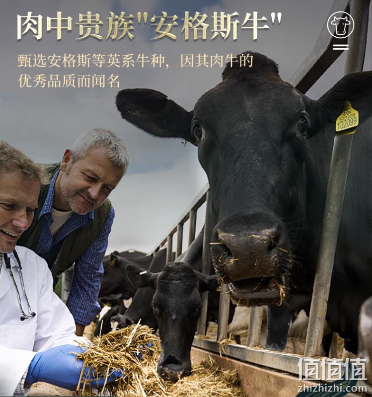 临期特价！百胜中国旗下，烧范儿 黑安格斯choice特选级原切谷饲西冷牛排180g*6盒 新低139元包邮（23元/盒） 值值值-买手聚集的地方