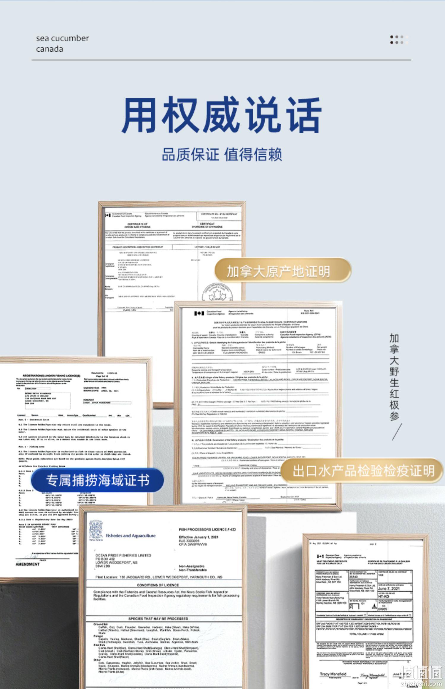 欧参力得 100%加拿大进口红极参 即食海参252g 新低52.9元包邮（需用券） 值值值-买手聚集的地方