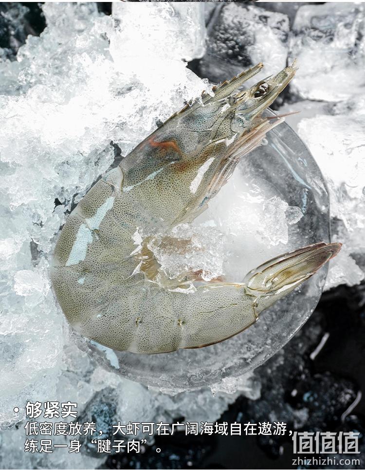 碧海农夫 超大瑟兰王南美虾鲜活速冻大虾 4斤/盒（净重1650g） 99元包邮（需领券） 值值值-买手聚集的地方