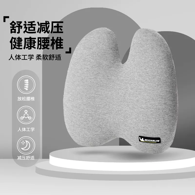米其林 德国进口巴斯夫记忆棉车用腰靠 99元包邮（双重优惠） 值值值-买手聚集的地方