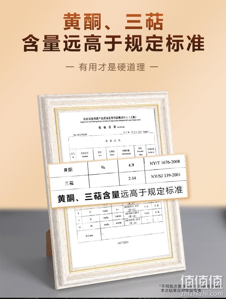 百年老牌，德杏堂 西藏桑黄 30g 5.1元包邮（需领券） 值值值-买手聚集的地方