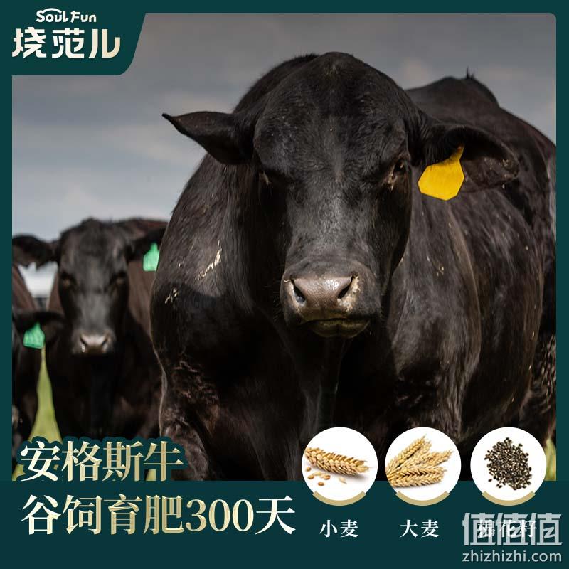 百胜中国旗下，烧范儿 安格斯原切雪花肥牛片 250g*5袋 139元包邮（需领券） 值值值-买手聚集的地方