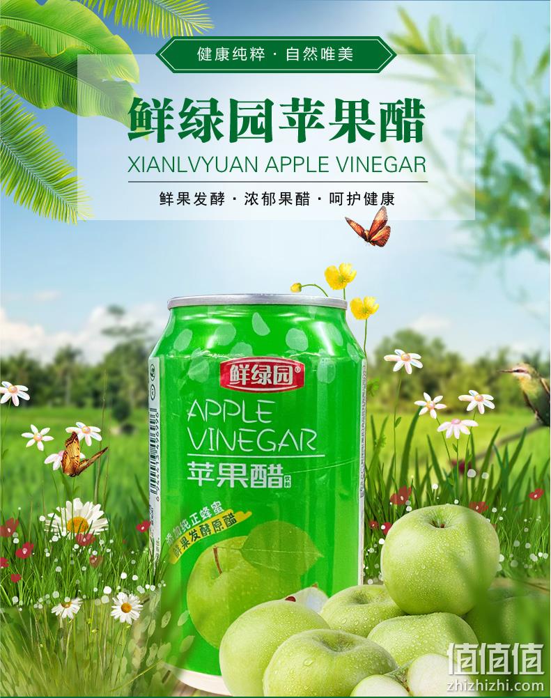 鲜绿园 苹果醋 310ml*12罐 29.9元包邮（双重优惠） 值值值-买手聚集的地方