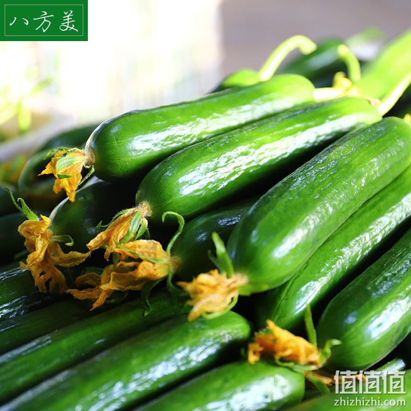 八方美 寿光新鲜水果小黄瓜 5斤 16.8元包邮（需领券） 值值值-买手聚集的地方